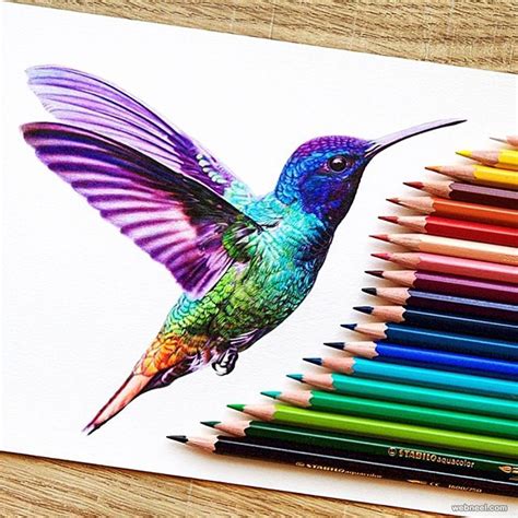 Color Pencil For Drawing
