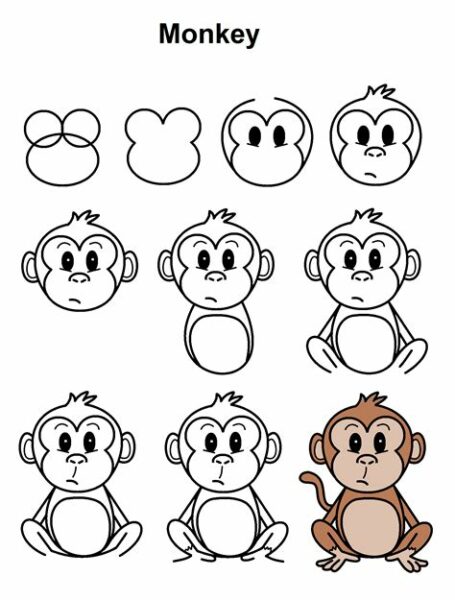 Draw A Simple Monkey
