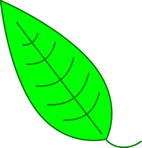 Simple Leaves Drawing