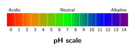 What Is Pline Ph