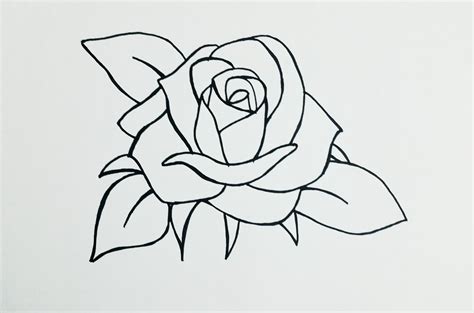 Roses To Draw Easy