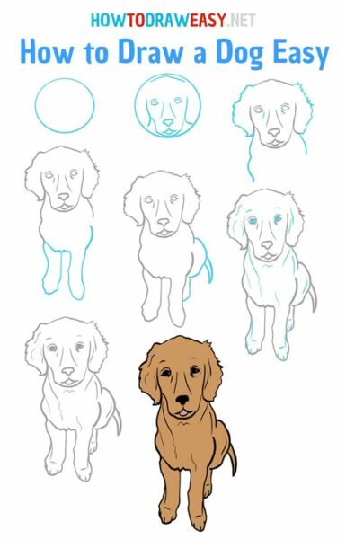 How To To Draw A Dog