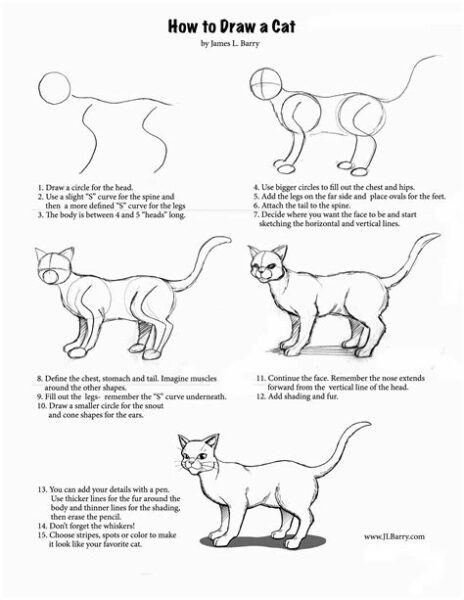 How Draw A Cat