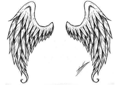 Drawing Of Angel Wings