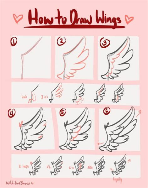 Wings How To Draw