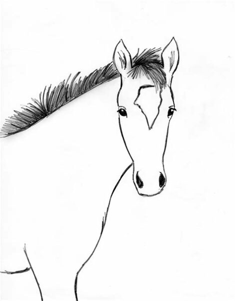 Easy To Draw Horse
