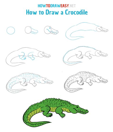 How To Drawing Crocodile