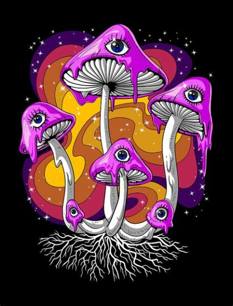 Trippy Mushrooms Drawing