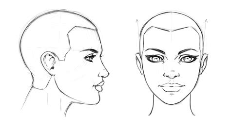 How To Draw The Head