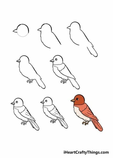 Easy To Draw Birds