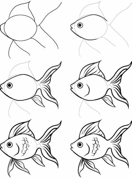 Easy To Draw Fish