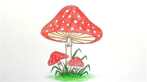 Easy To Draw Mushroom