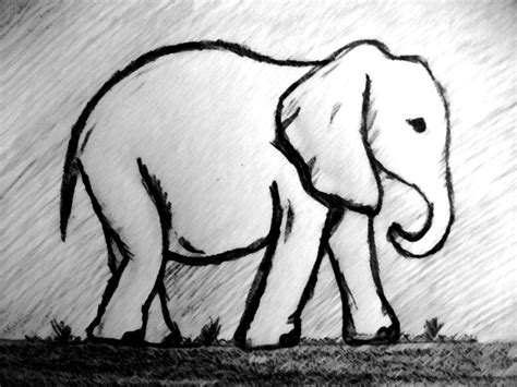 Elephant Drawing Easy