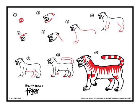 How To Draw Easy Tiger