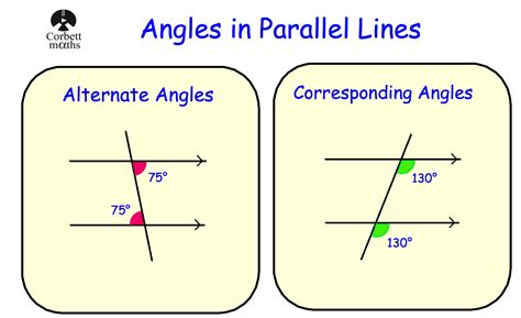 Angle Relationships With Parallel Lines Calculator