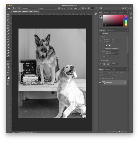 Convert Image To Grayscale Paint