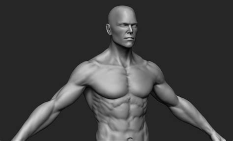Create 3D Human Models Online Free