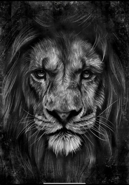 Draw A Realistic Lion