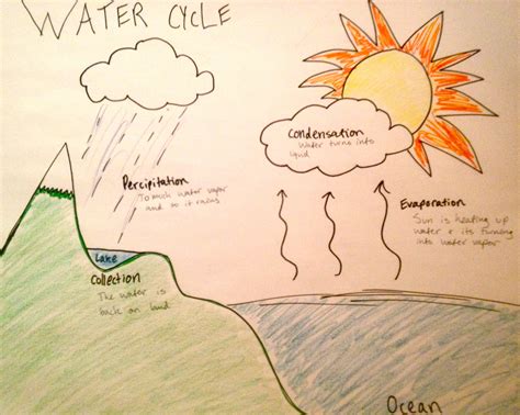 Draw A Water Cycle