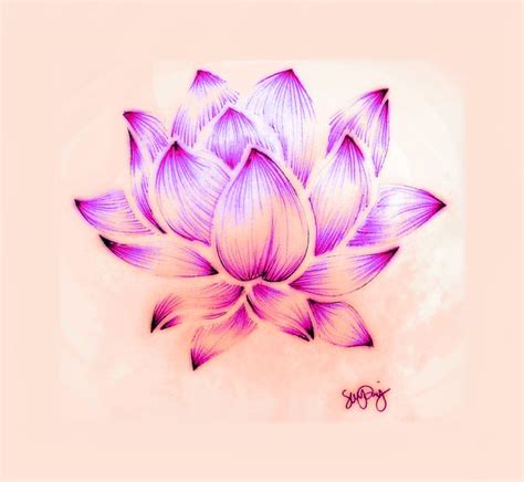 Drawing A Lotus Flower