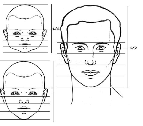 Drawing Faces In Proportion
