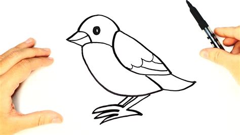 Drawing Of Bird Easy