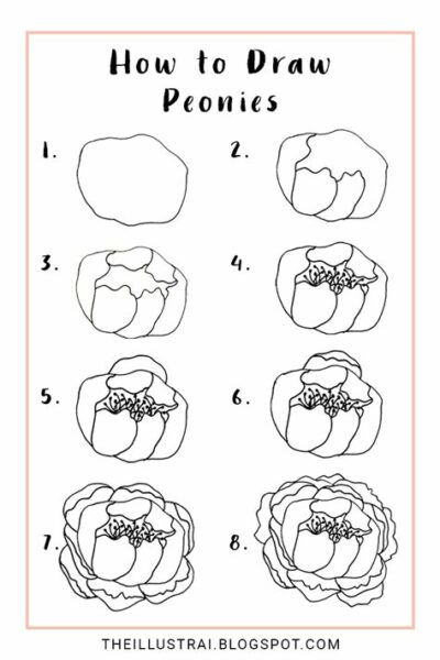 How To Draw A Peony Flower