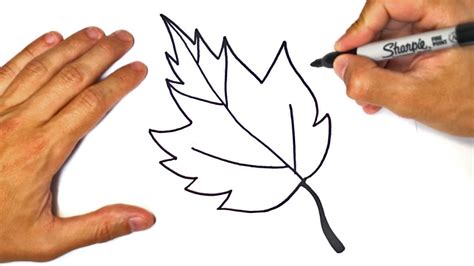 How To Draw Leaves