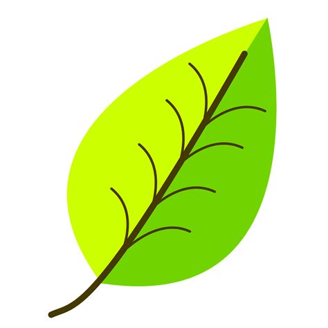 Simple Drawing Of A Leaf