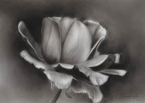 Drawing Flowers With Charcoal