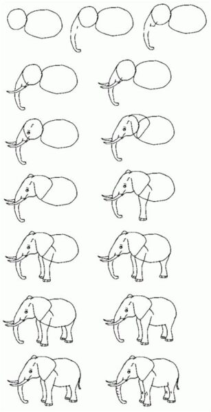 Draw An Elephant Step By Step