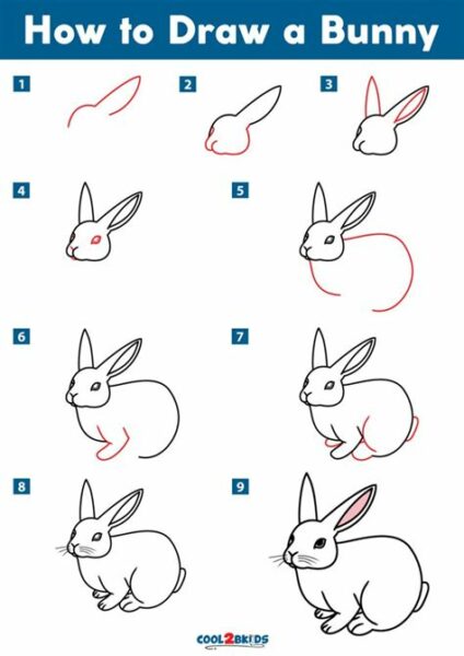 How Draw A Bunny