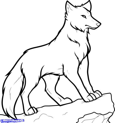 Wolf How To Draw