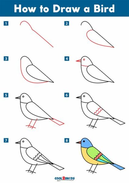 How Draw A Bird