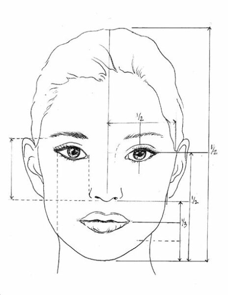 Draw Facial Proportions