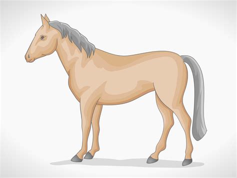Simple Drawing Horse