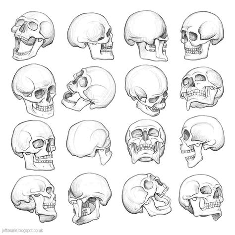 Skull How To Draw