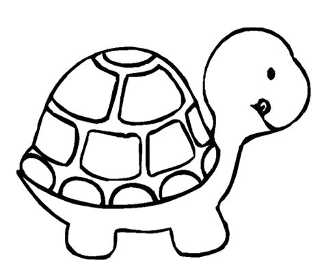 Easy Drawing Turtle