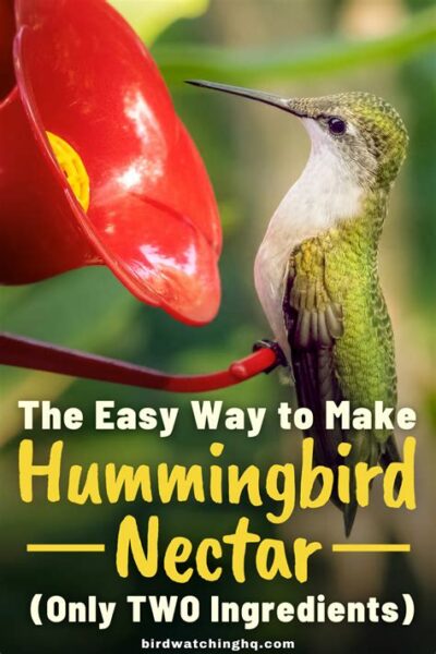 How To Make Hummingbirds Nectar