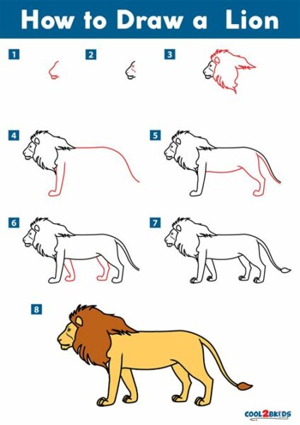How To Drawing A Lion